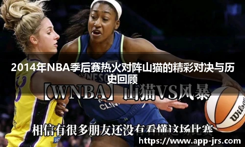 2014年NBA季后赛热火对阵山猫的精彩对决与历史回顾